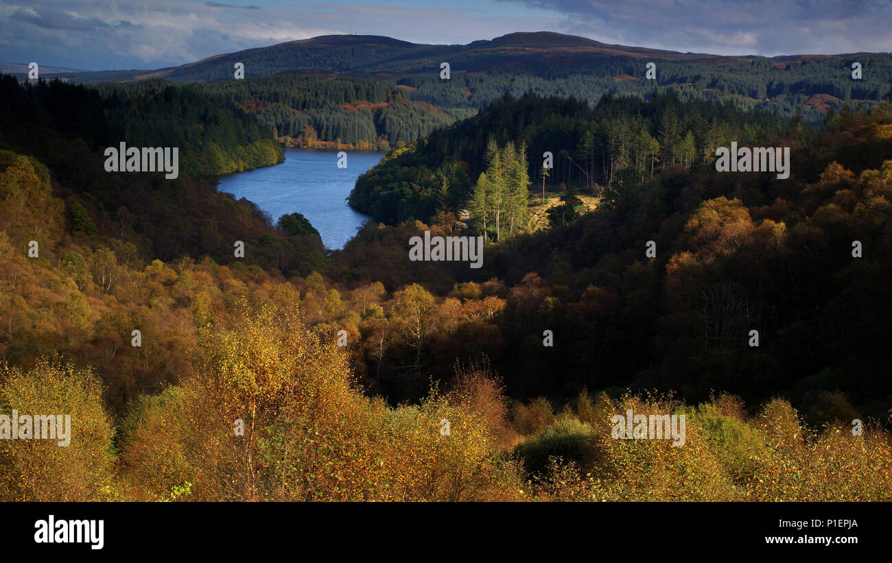 L'Europa, la Scozia, Regno Unito, Inghilterra, paesaggio, Loch Lomond e il Trossachs National Park, , Europa, Schottland, Grossbritannien, Landschaft, il Foto Stock