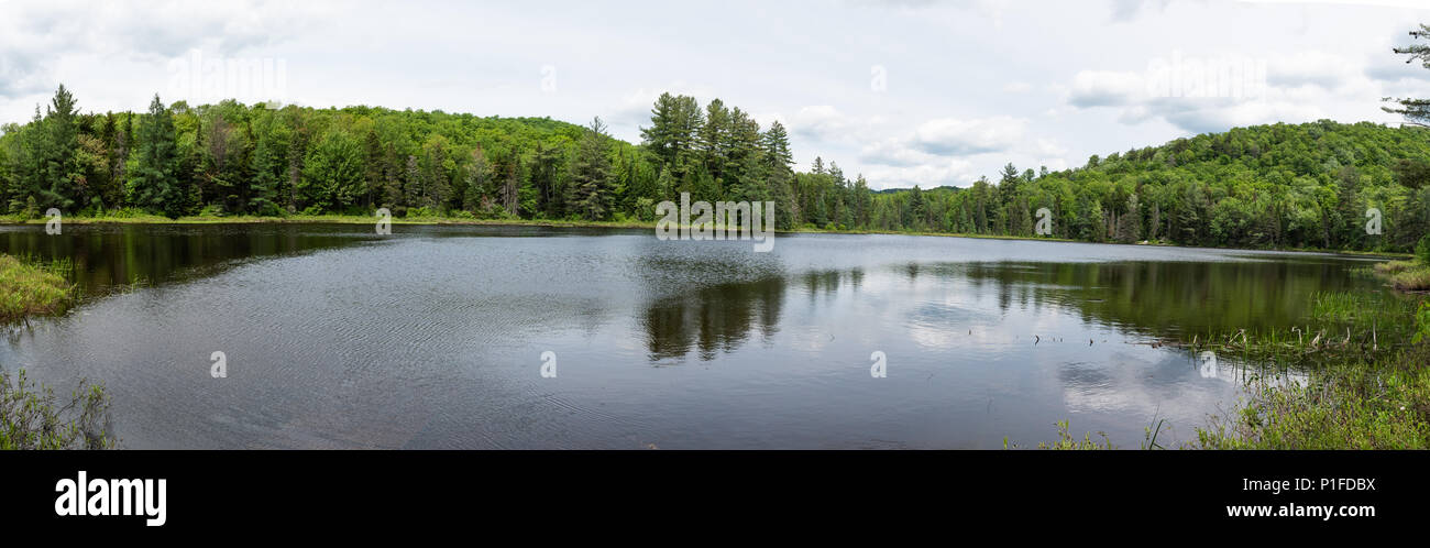 Un panorama di Pino inferiore laghi nella contea di Hamilton deserto nelle Montagne Adirondack, NY USA Foto Stock