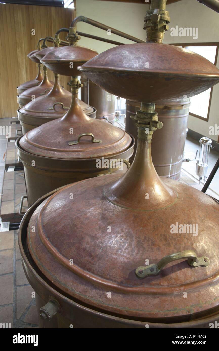 Spagna - Paese Basco - Munguia (distretto) - Golfo di Guascogna. Bakio / Baquio; bodega de Vinos txacolí 'Gorondon"; zona de destilería fatto tutto artigianelmente de orujo. Foto Stock