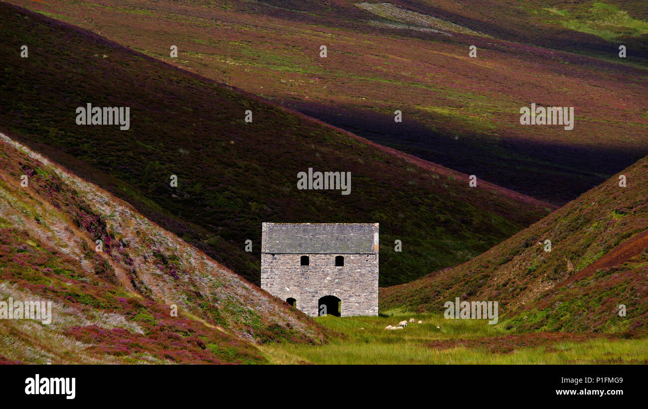 L'Europa, la Scozia, Regno Unito, Inghilterra, il paesaggio, le montagne CairnGorm, gruppo montuoso,, Europa, Schottland, Grossbritannien, Landschaft, C Foto Stock