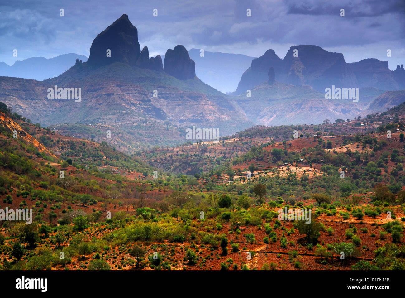 Africa, Etiopia, Simien Mountains,, Afrika, Aethiopien, Simien Gebirge, Foto Stock