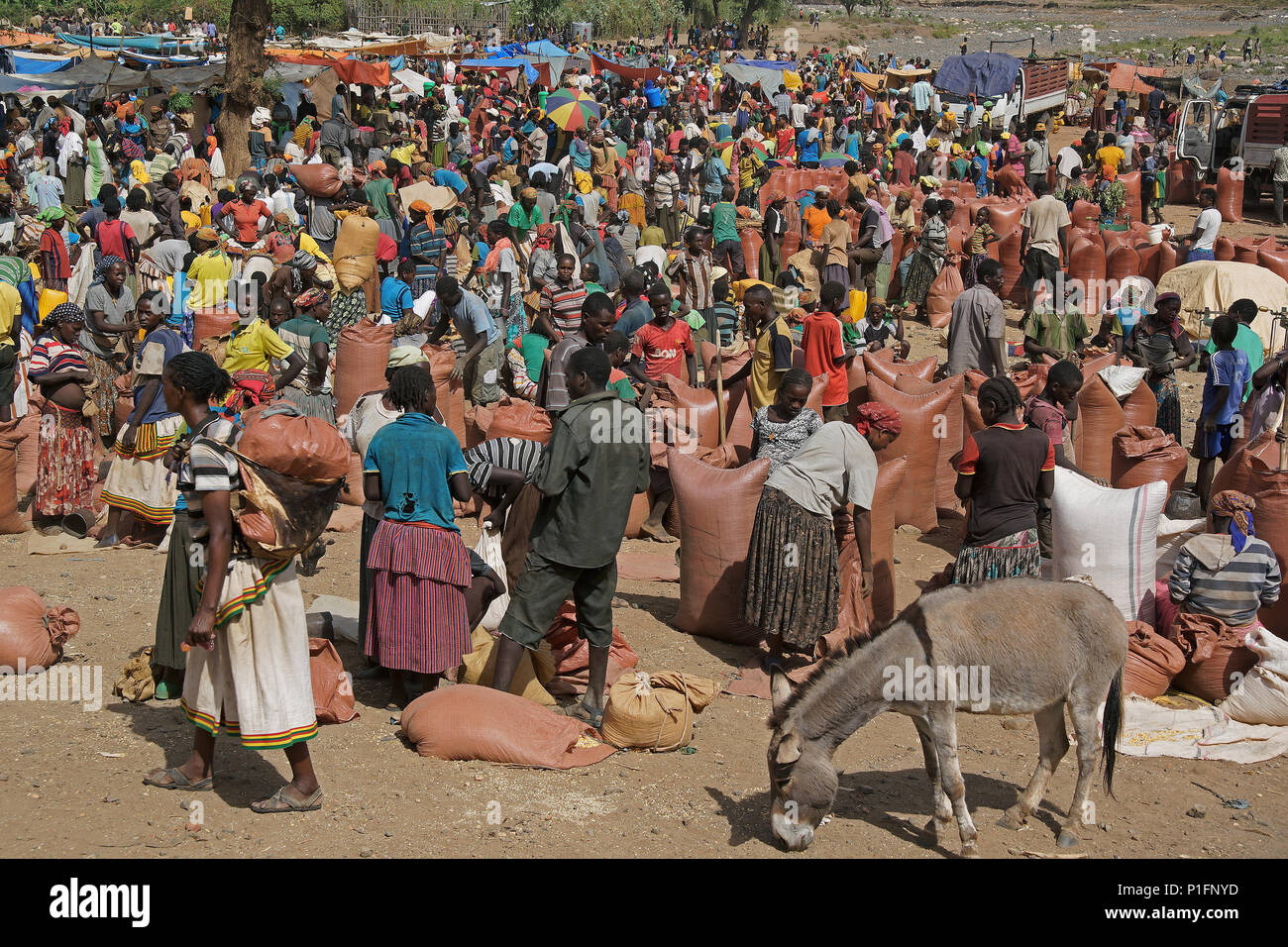 Africa, Etiopia, mercato konzo, Afrika, Aethiopien Konzo, Markt Foto Stock