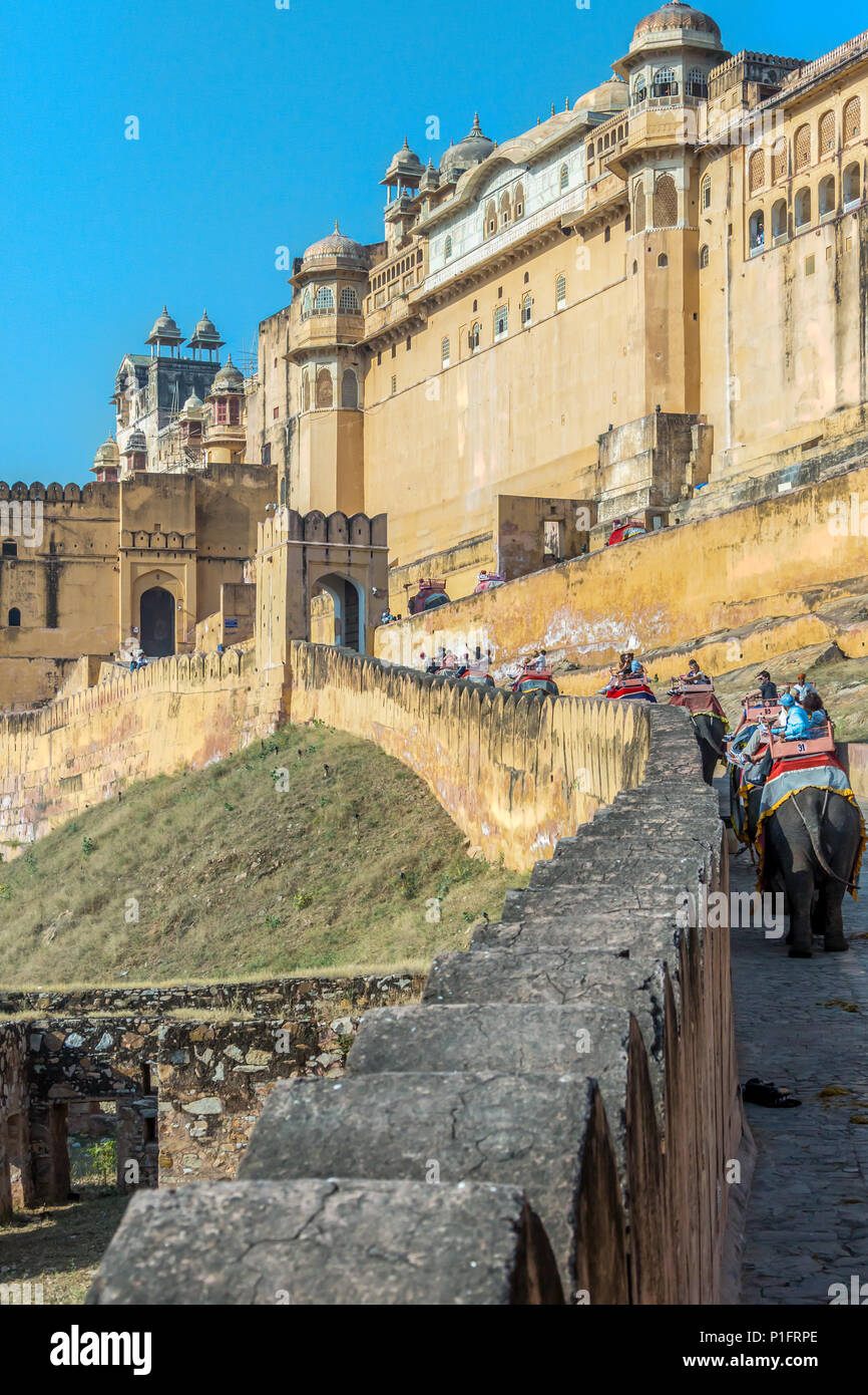 Corse di elefanti arrampicata Ambra storico Fort a Jaipur ,l'India. Foto Stock