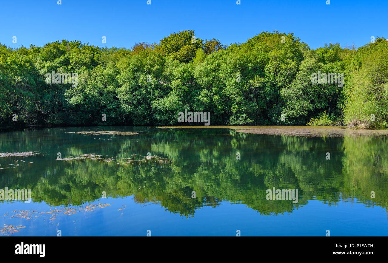 La riflessione in un lago in Santiago de Compostela, Galizia, Spagna Foto Stock