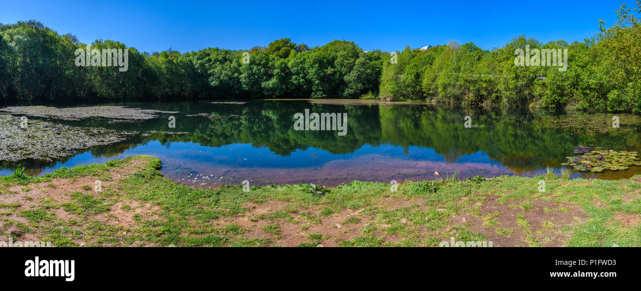 La riflessione in un lago in Santiago de Compostela, Galizia, Spagna Foto Stock