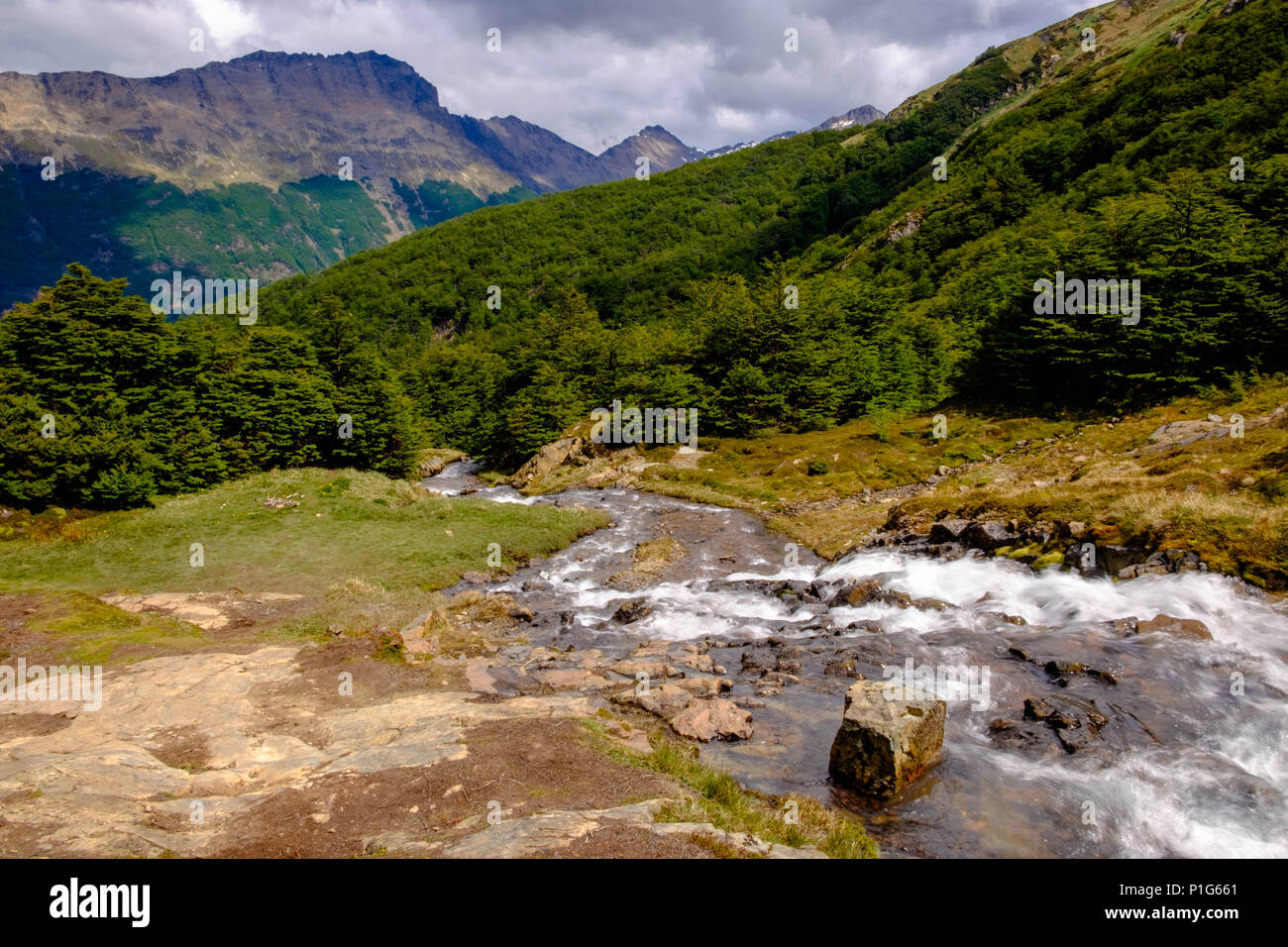 L'acqua di un fiume scende velocemente. Un po' più in alto, il fiume nasce dalla Laguna de los Témpanos, una destinazione avventurosa per escursioni vicino a Ushuaia. Foto Stock