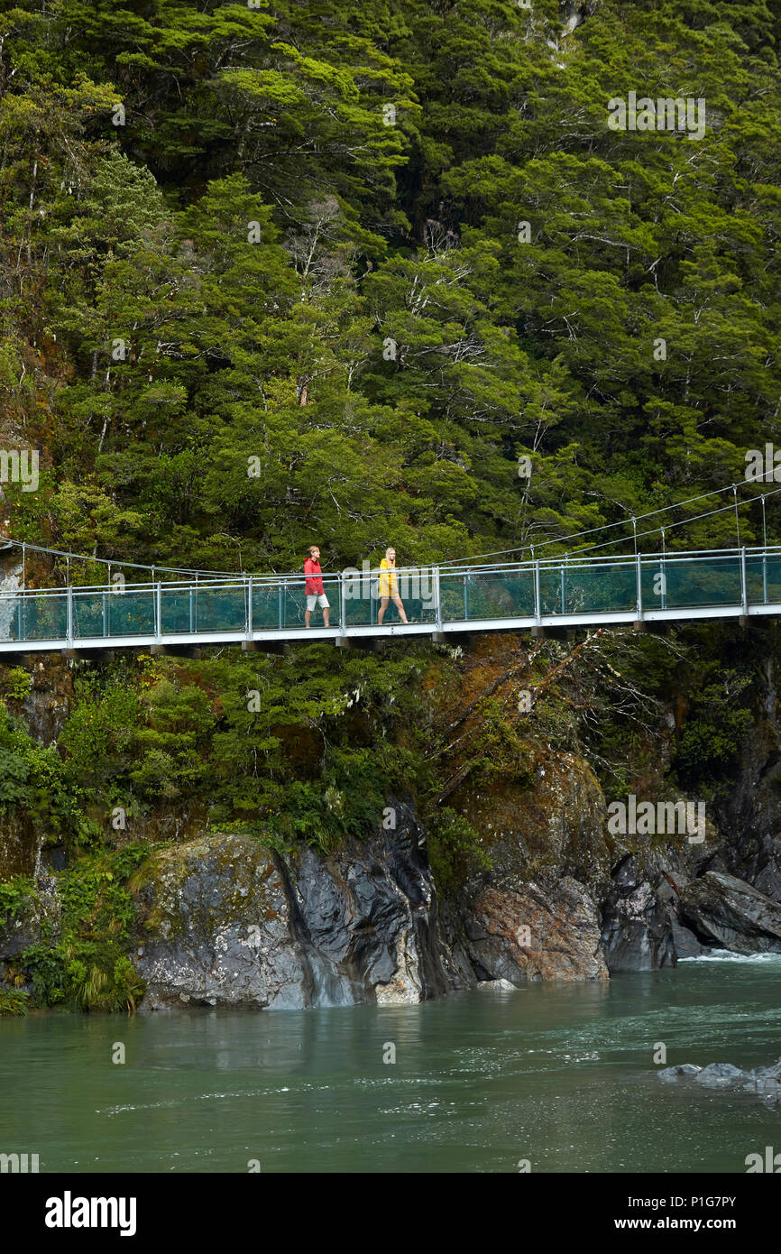 I turisti su passerella, Fiume Azzurro, Blu Piscine, montare gli aspiranti National Park, Haast Pass, Makarora, Otago, Isola del Sud, Nuova Zelanda (modello rilasciato) Foto Stock