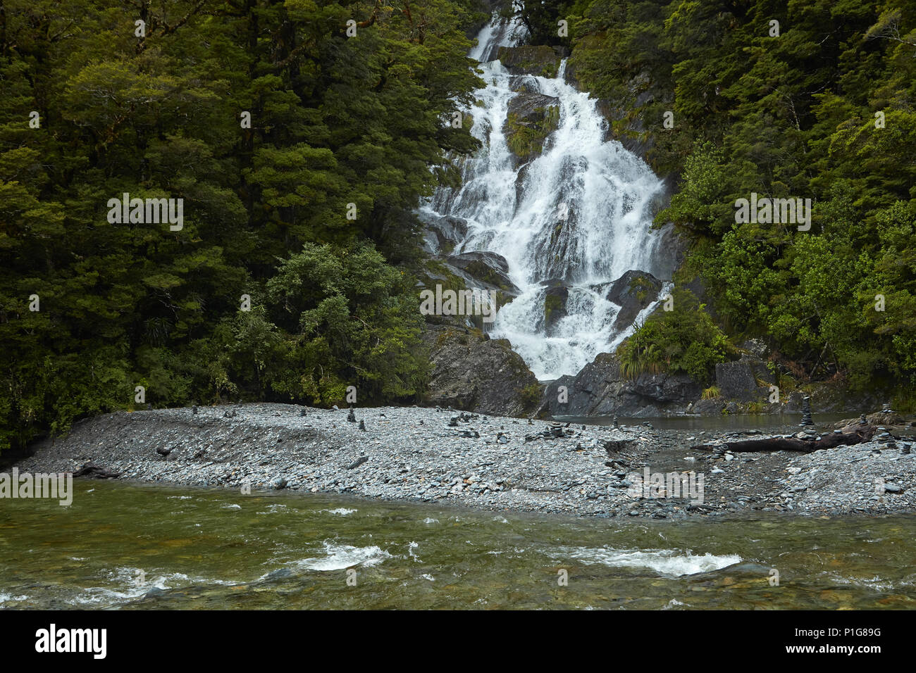 Fiocco cade & Haast River, Haast Pass, Mt Aspiring National Park, West Coast, Isola del Sud, Nuova Zelanda Foto Stock