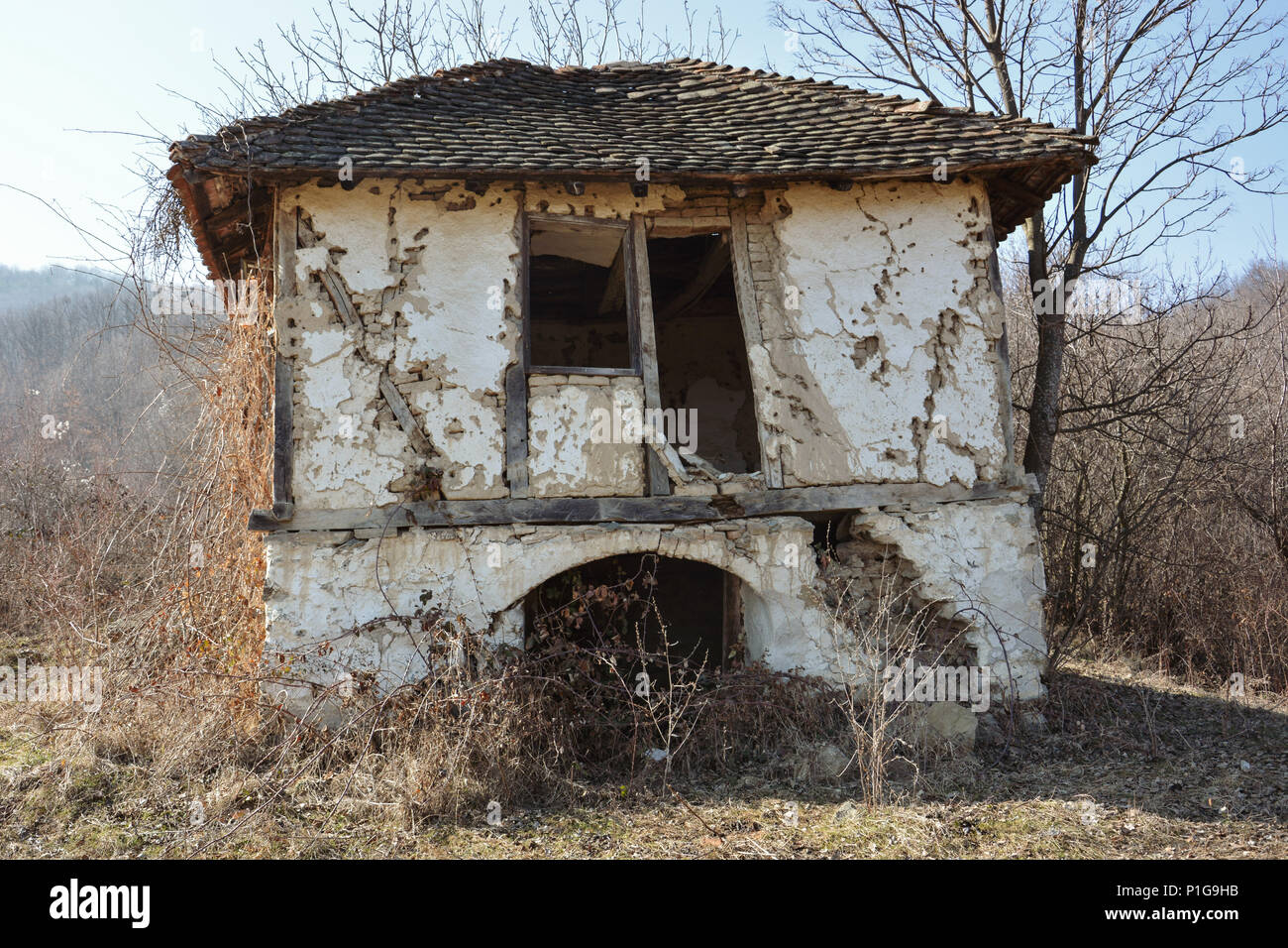 Xix secolo vecchia casa in legno fatto di argilla piastrelle, mattoni e fango. Ultimo proprietario morì nel 1953. In mezzo alla foresta, con nessun proprietario. Foto Stock
