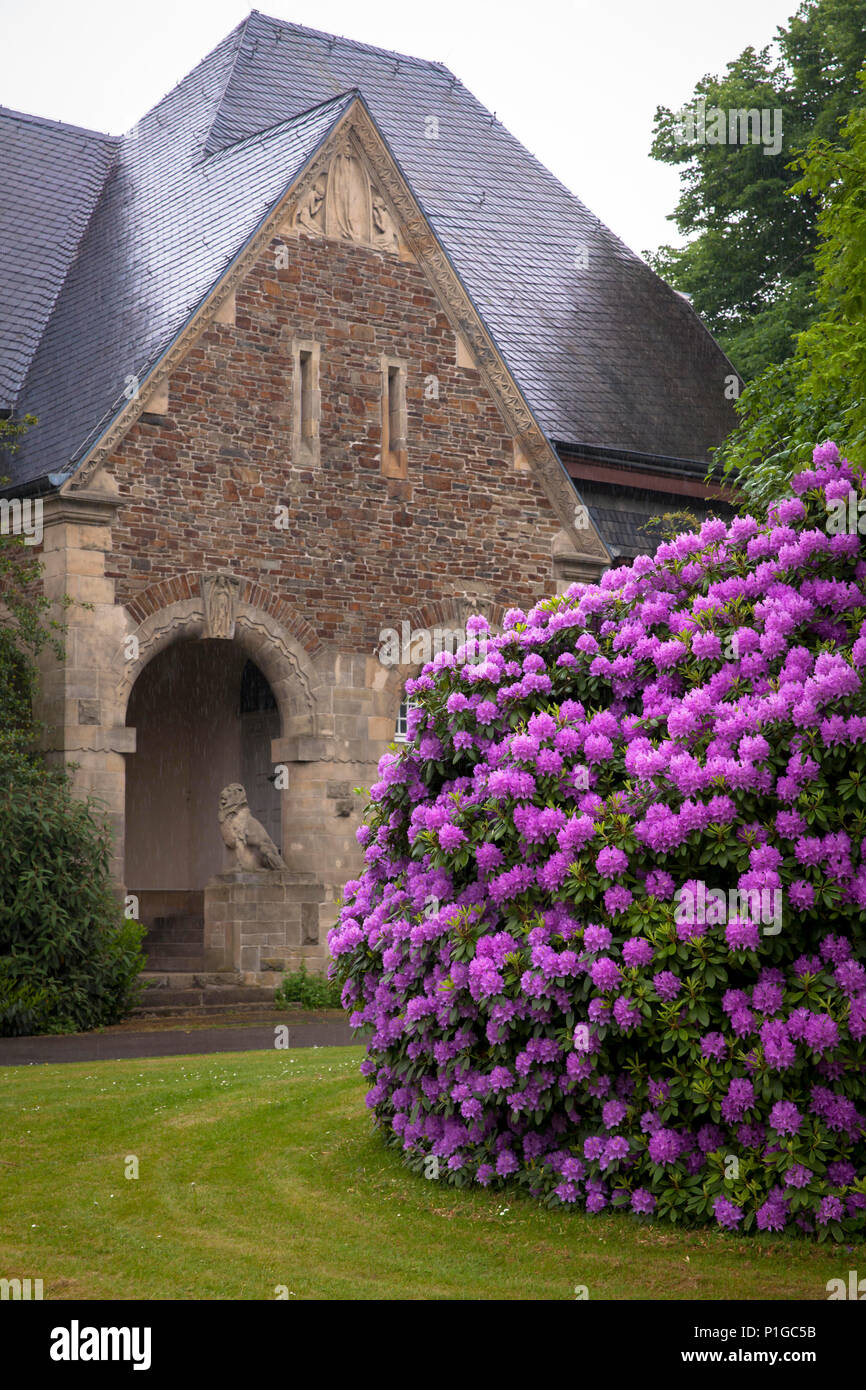 Germania, rododendro in fiore davanti alla cappella del cimitero del Sud a Duesseldorf. Deutschland, bluehender Rhododendron vor der Kapelle un Foto Stock