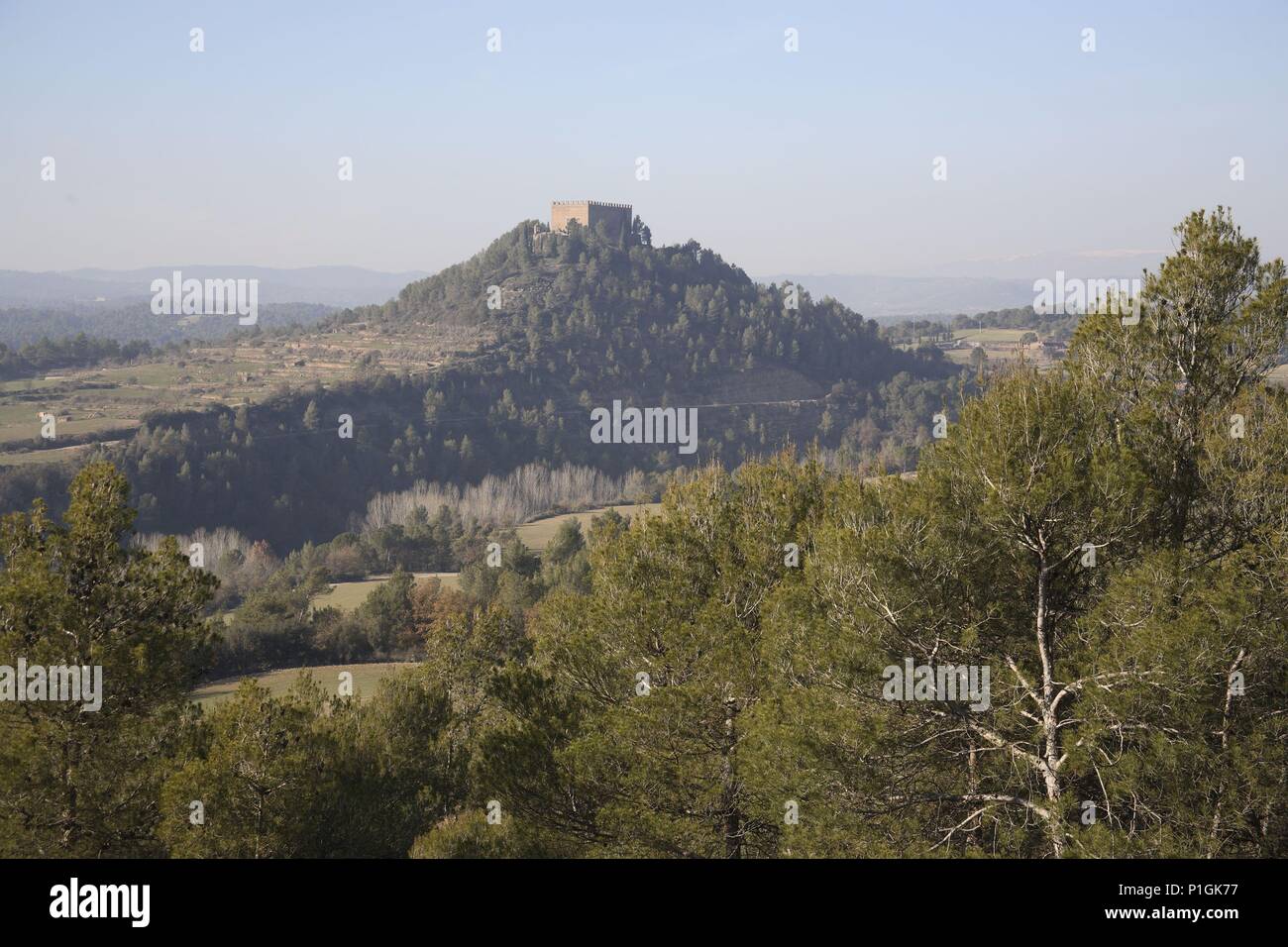 Spagna - Catalogna - Bagés (distretto) - Barcellona. Castillo de Balsareny y valle del Llobregat ( por donde transcurre camino natural de la Sèquia del Bages). Foto Stock