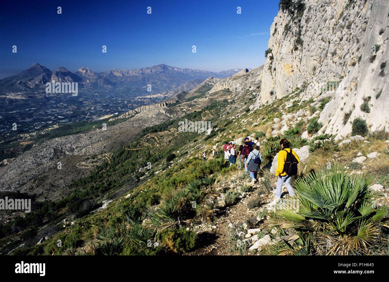 Sierra de Bernia (Serra de Bèrnia), naturaleza, palmito, senderismo, excursionismo, itienerarios, PR-V 7, turismo alternativo. Foto Stock