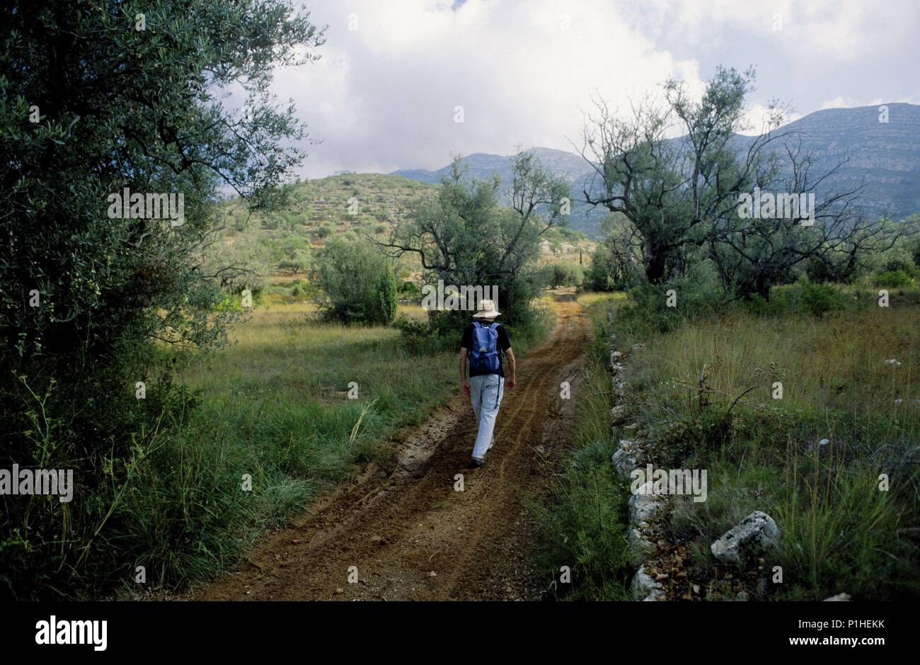 Spagna - Catalogna - Montsià (distretto) - Tarragona. Sierra de Montsià, alrededores del Mas de Mulet, Ulldecona, naturaleza, espacios protegidos. Foto Stock