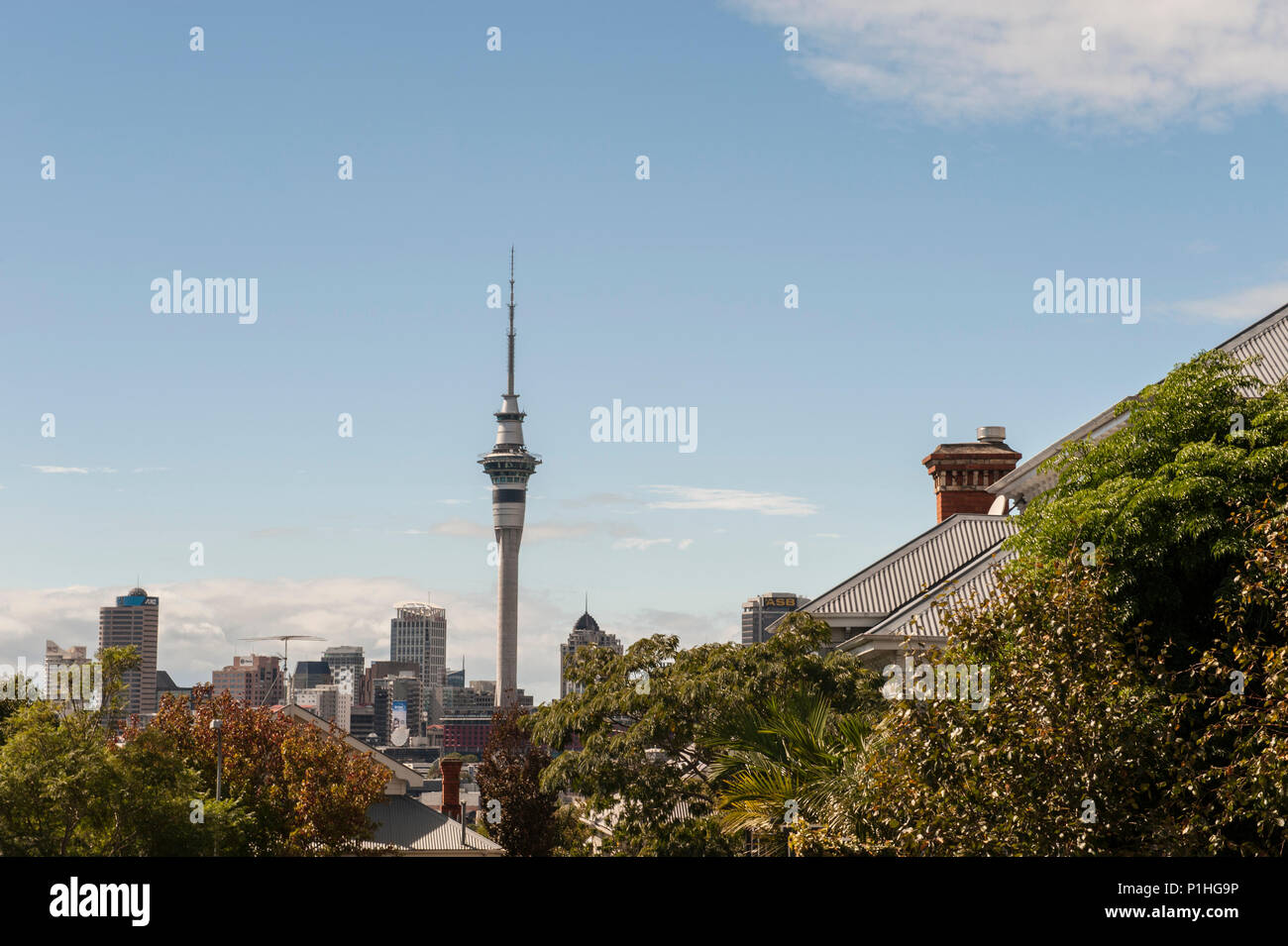 Vista di Auckland dalla Ponsonby suburbana Foto Stock