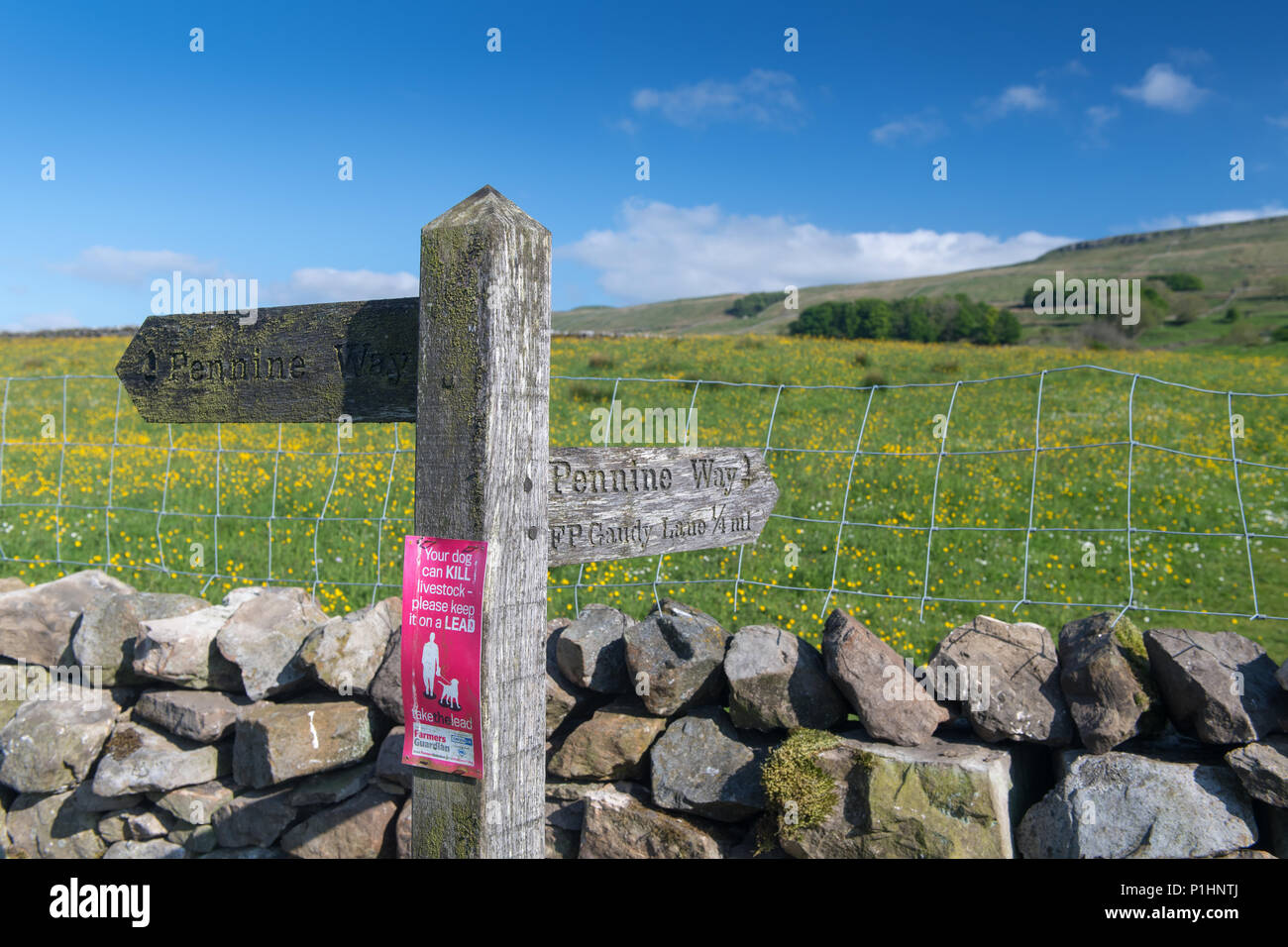 Il sentiero lungo il segno del The Pennine Way vicino Hawes, North Yorkshire, con un cartello di avvertimento per i proprietari di cani di tenere cani sulla porta. Foto Stock