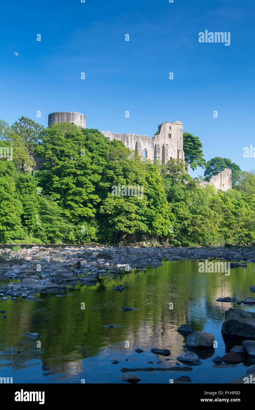 Barnard Castle, costruita nel XII secolo situato sul bordo del Fiume Tees in Co. Durham, Regno Unito. Foto Stock