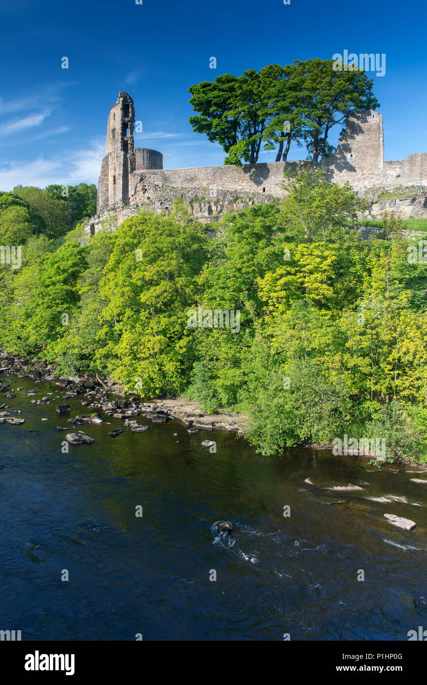 Barnard Castle, costruita nel XII secolo situato sul bordo del Fiume Tees in Co. Durham, Regno Unito. Foto Stock