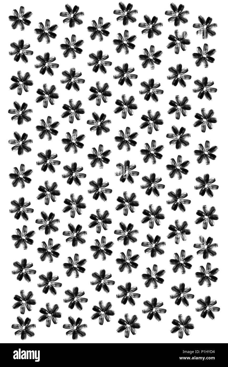 Semi di girasole fiori Pattern. Sfondo isolato. Texture dettagliate. Macro Closeup. Orientamento verticale Poster. Foto Stock