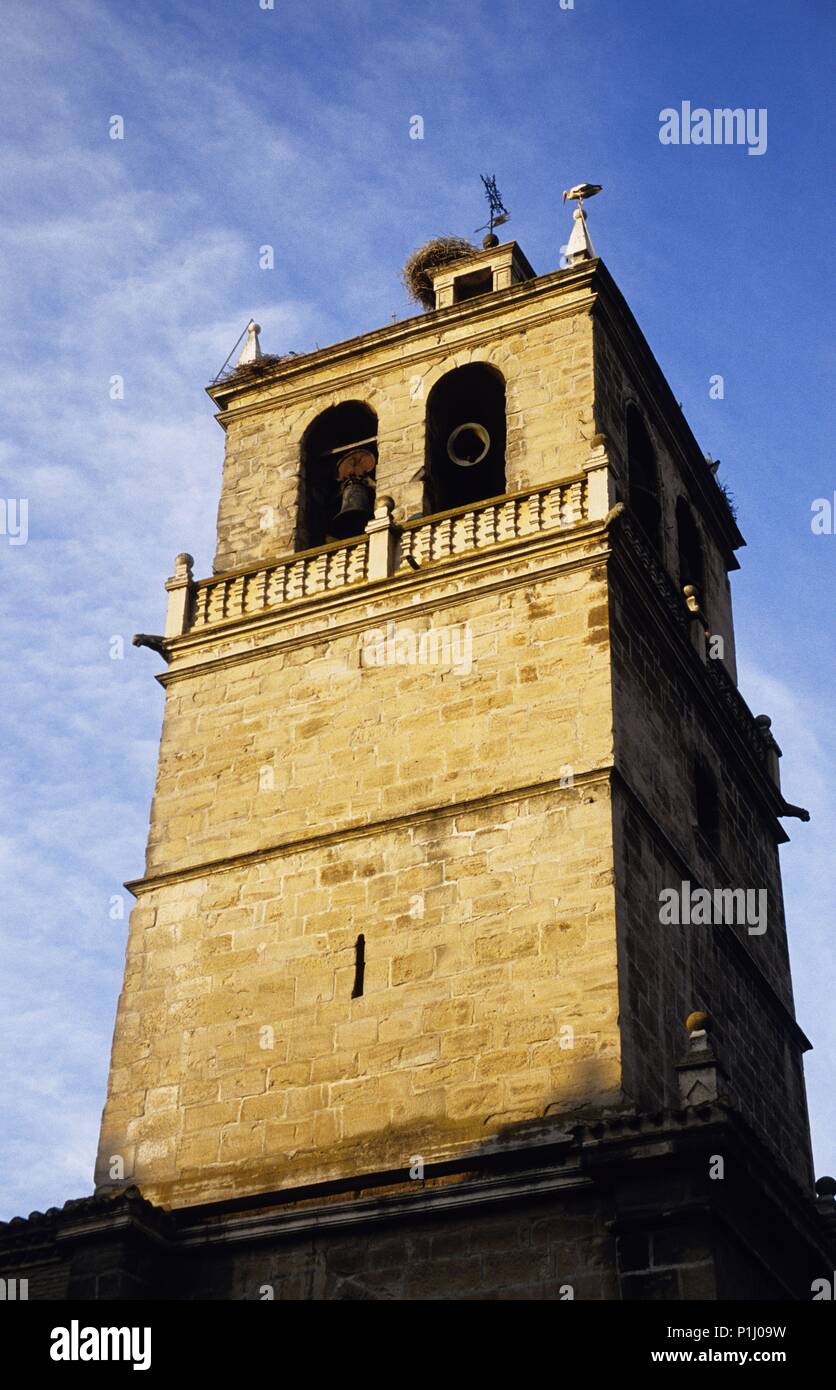 Spagna - LA RIOJA - Rioja Media (distretto) - Logrono. Logroño, Campanario de la Iglesia de Santa María del Palacio; cigüeñas. Foto Stock