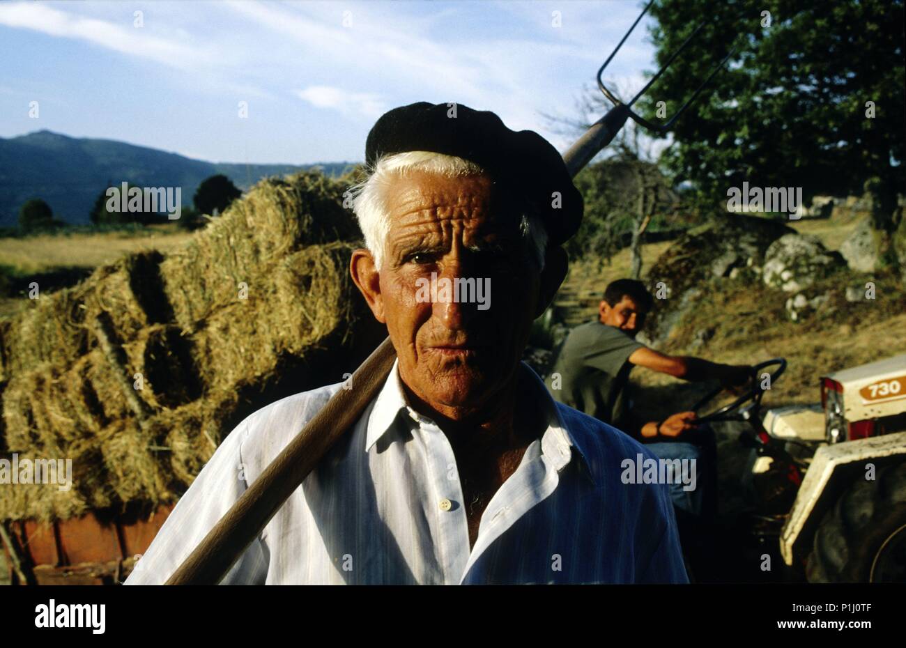 Piornedo; campesino en trabajo agrícola (Sierra de Ancares) (53). Foto Stock