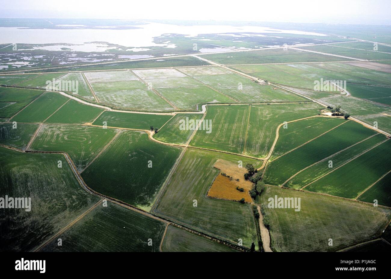 Spagna - Catalogna - Montsià (distretto) - Tarragona. Il delta del fiume Ebro, L'Encanyissada y campos de arroz, vista aérea. (Montsià). Foto Stock