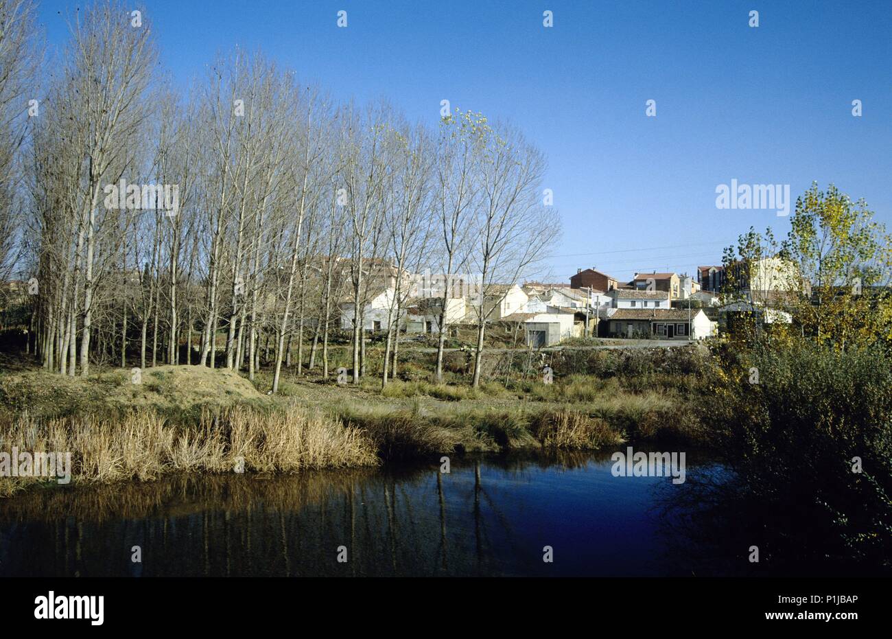 Sahagun; fiume Cea, nero il legno di pioppo e città (Sant Jaques via dei pellegrini verso Santiago). Foto Stock