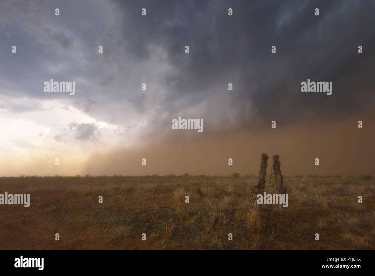 Tempesta di polvere di un temporale al di sopra della steppa del Texas, Stati Uniti d'America Foto Stock