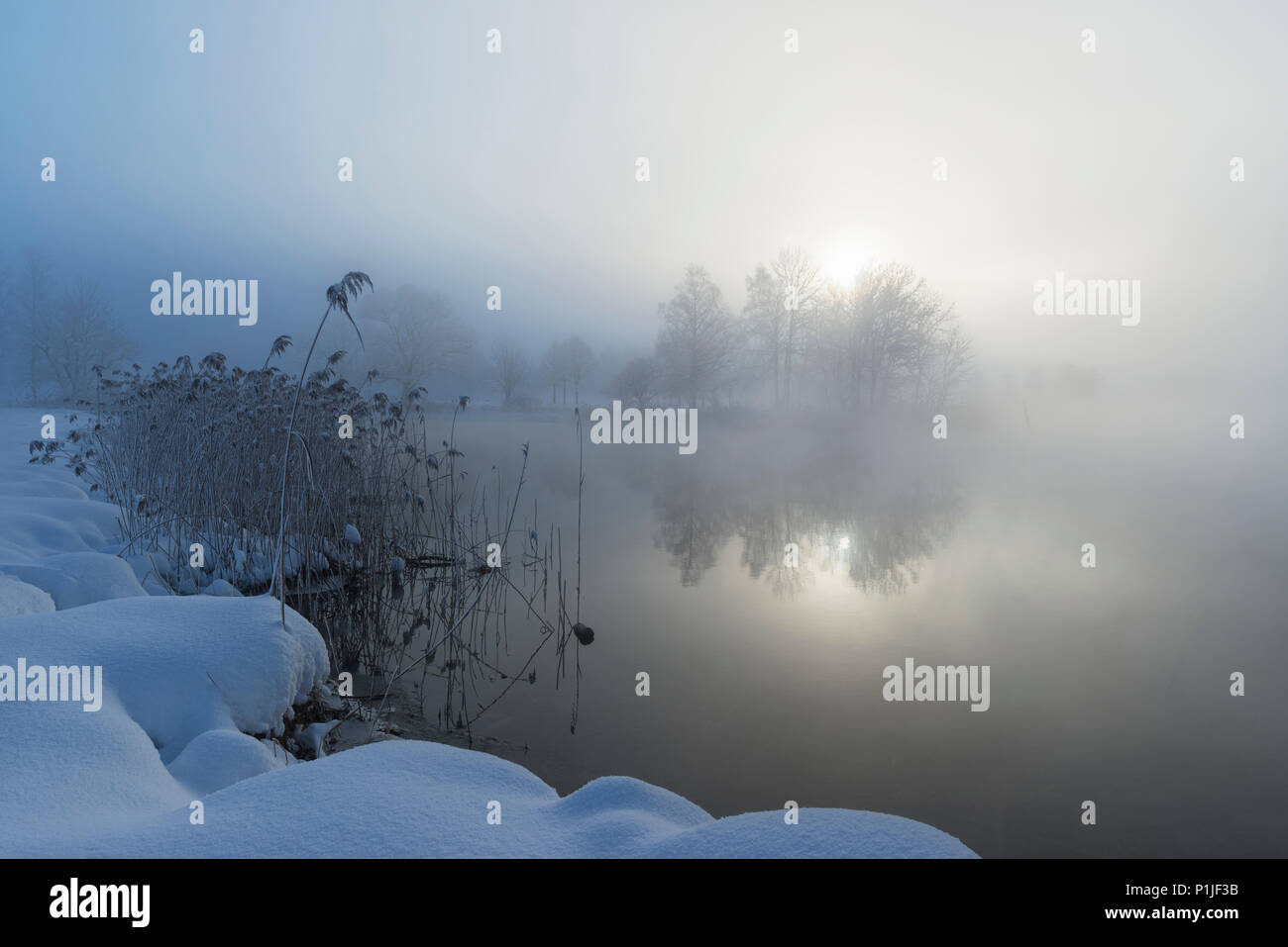 La nebbia in inverno mattina, Kochelsee, Kochel, Baviera, Germania Foto Stock