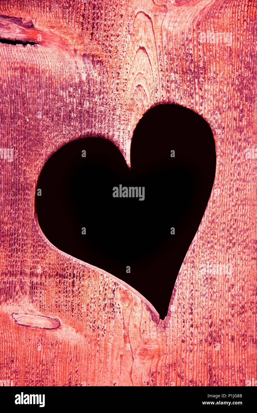 Il foro a forma di cuore in una rosa sul pannello di legno Foto Stock