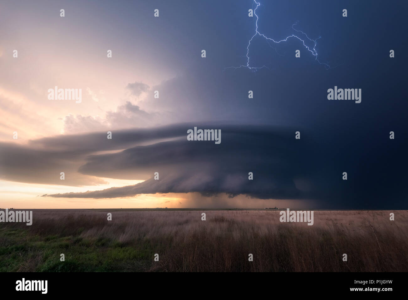 Cloud-per-cloud fulmine durante il tramonto con un supercell sui campi di Leoti, Contea di Wichita, Kansas, Stati Uniti d'America il 21 maggio 2016 Foto Stock