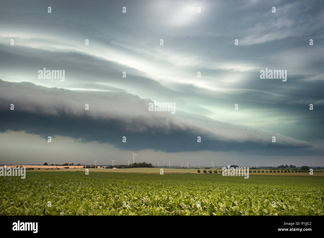 Potente shelf cloud con un avvicinamento mesoscale sistema convettivo (MCS) vicino a Döbeln, Bassa Sassonia, Germania Foto Stock