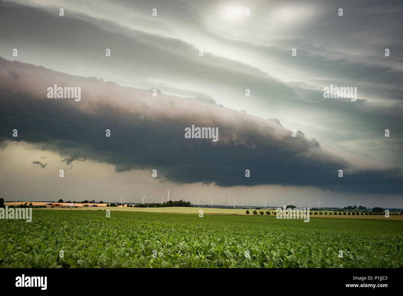 Potente shelf cloud con un avvicinamento mesoscale sistema convettivo (MCS) vicino a Döbeln, Bassa Sassonia, Germania Foto Stock