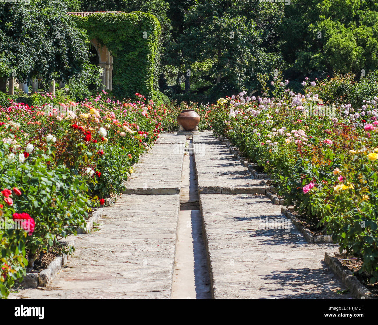 Un bellissimo parco alley con colorati cespugli di rose e un vaso di ceramica nel centro Foto Stock