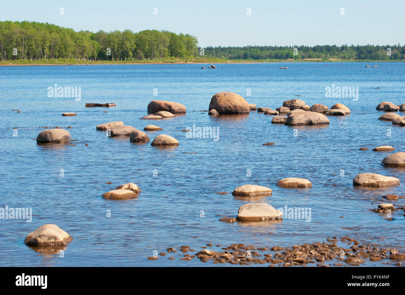 Pietre sulla costa del Golfo di Finlandia Foto stock - Alamy