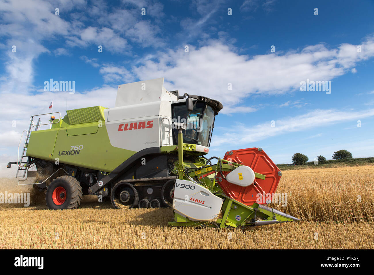 La combinazione di orzo con un lessico Claas 760 mietitrebbia e un 35ft testata, con telecamere montate per una migliore visibilità al conducente. North Yorkshire, Regno Unito. Foto Stock