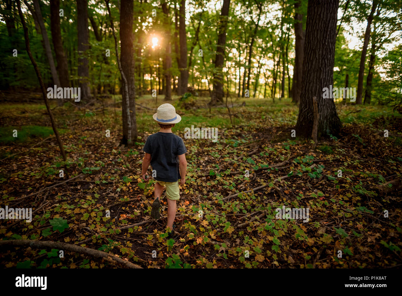 Ragazzo passeggiate nella foresta di foglie di raccolta Foto Stock