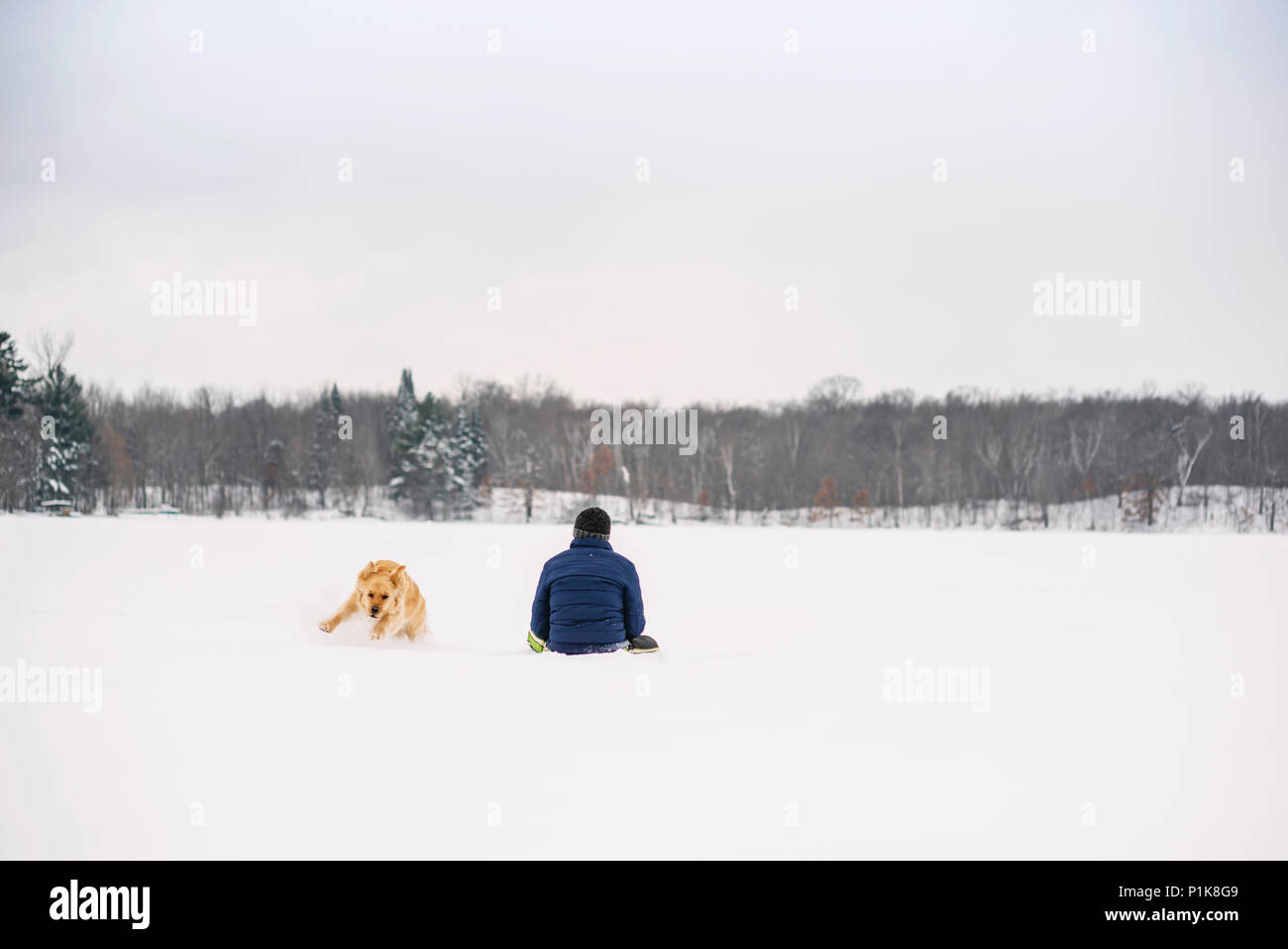 Uomo e cane a giocare nella neve Foto Stock
