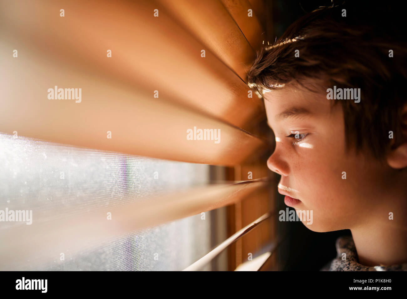 Ragazzo accanto a una finestra guardando attraverso le veneziane Foto Stock