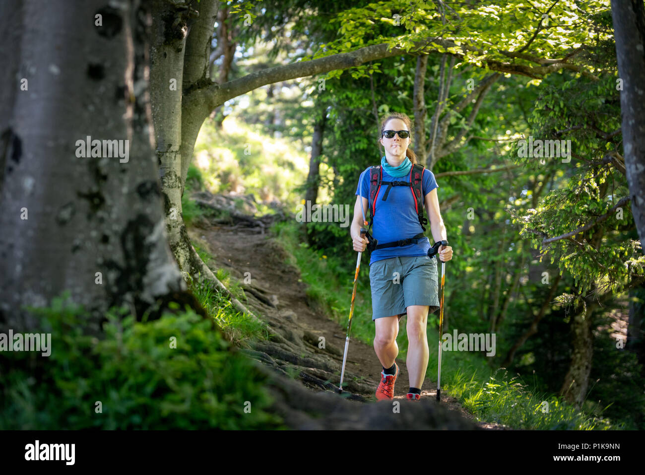 Donna trekking in montagna Nockstein vicino a Salisburgo, Austria Foto Stock
