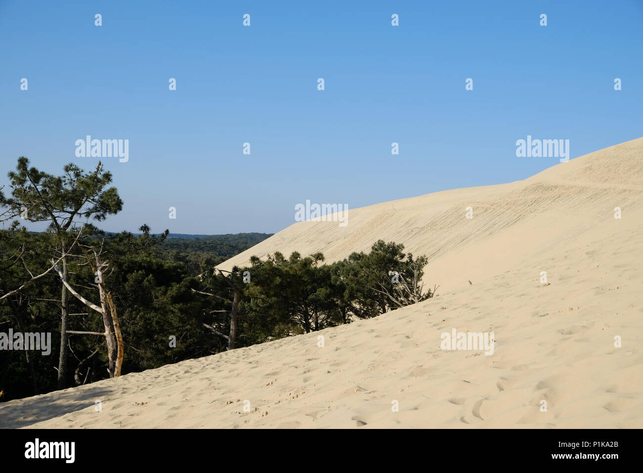 Dune di Pilat, La Teste de Buch, Arachon, Nouvelle-Aquitaine, Francia Foto Stock