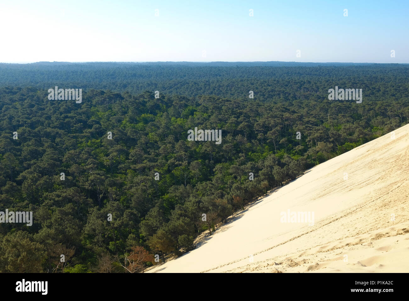 Dune di Pilat e paesaggio forestale, La Teste de Buch, Arachon, Nouvelle-Aquitaine, Francia Foto Stock