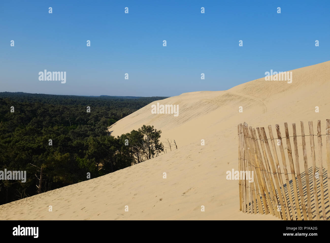 Dune di Pilat e paesaggio forestale, La Teste de Buch, Arachon, Nouvelle-Aquitaine, Francia Foto Stock