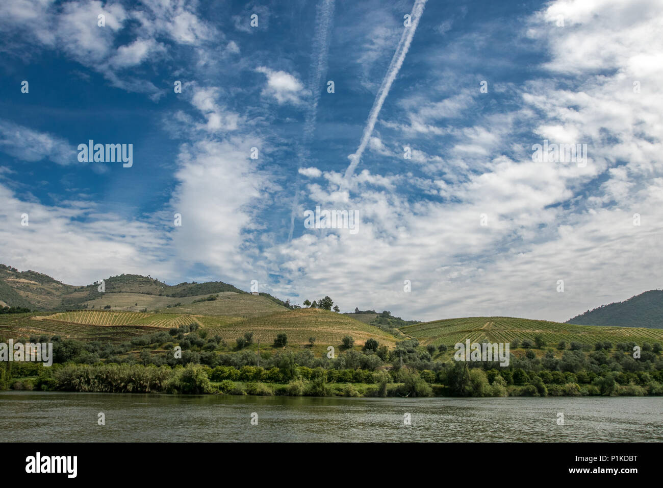Una vista dal fiume Douro. Foto Stock
