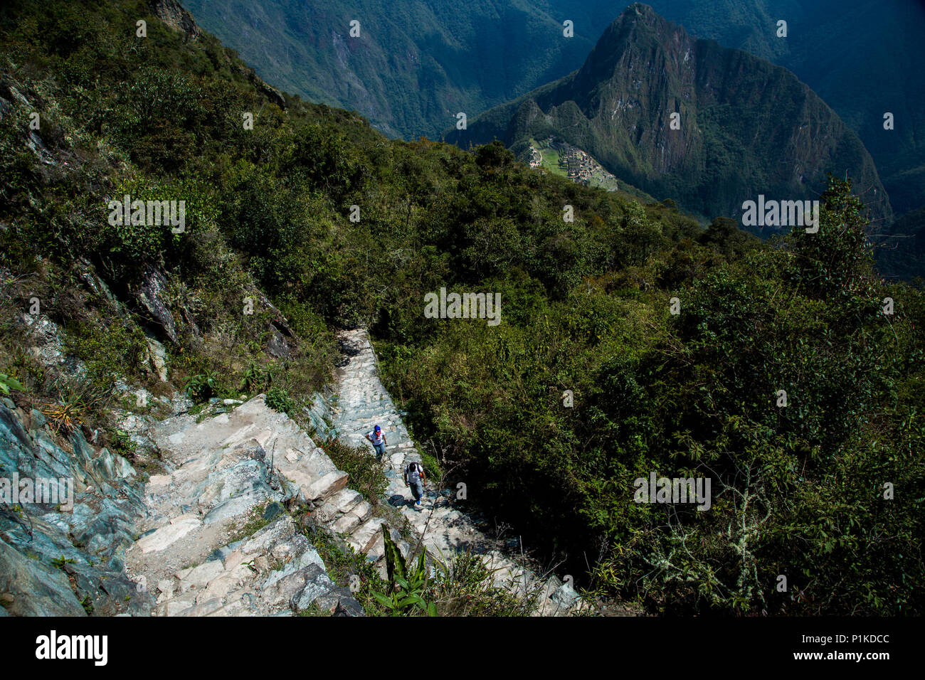 L'escursione fino in Machu Picchu Mountain non è di natura tecnica con qualsiasi mezzo, ma è una estenuante, irregolare, 101-volo salita. Foto Stock