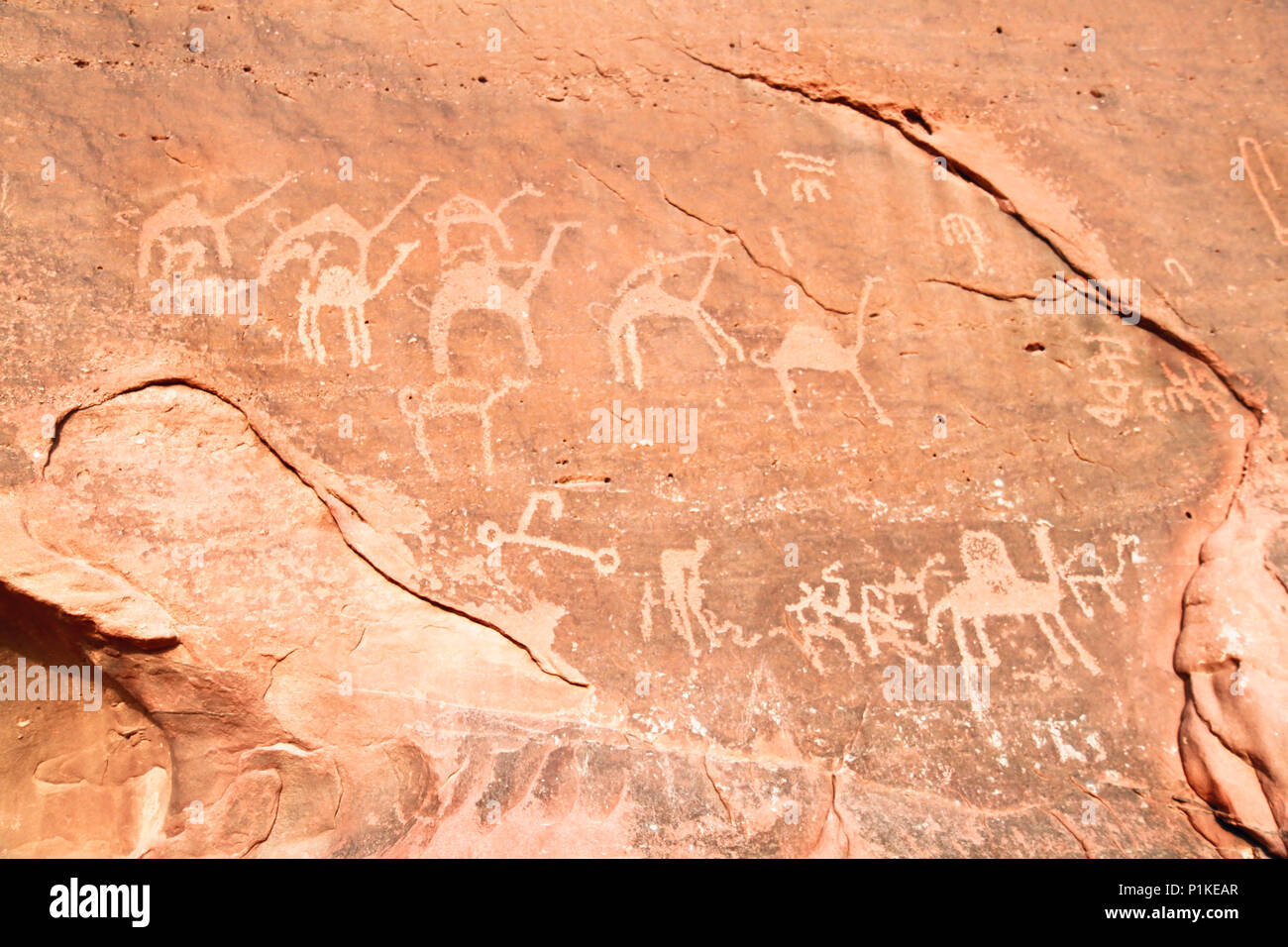 Immagini di cammelli scavata in una parete di roccia a Wadi Rum, un sito Patrimonio Mondiale dell'UNESCO in Giordania. Foto Stock
