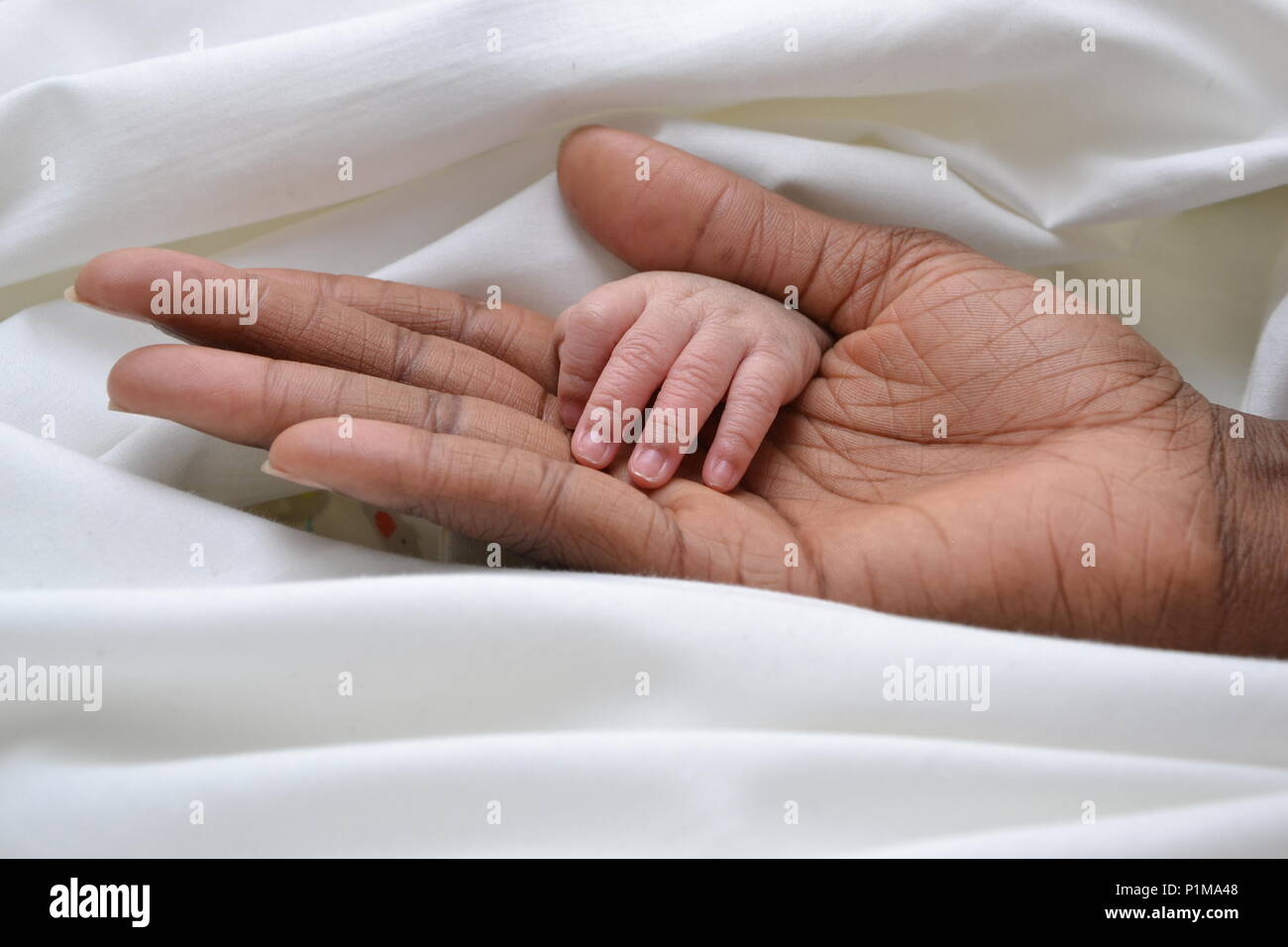 Le mani di bambini - Primi giorni di vita Foto Stock