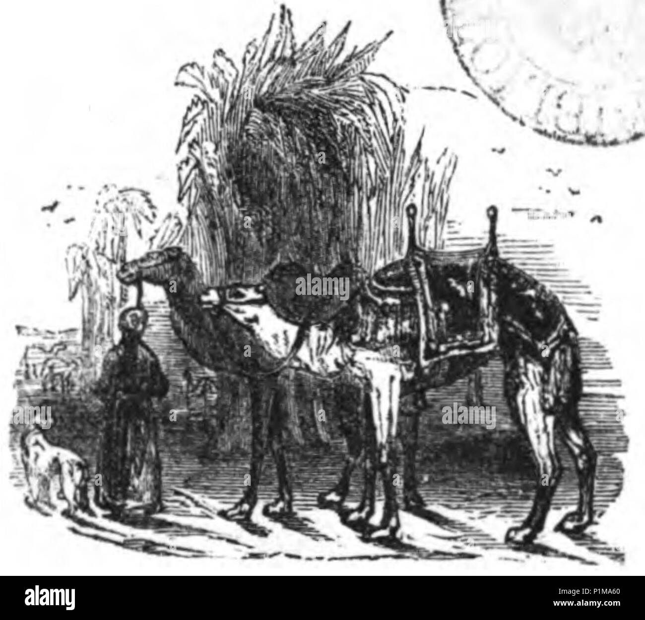 (1853, X, p.Vignette) - Copia Foto Stock