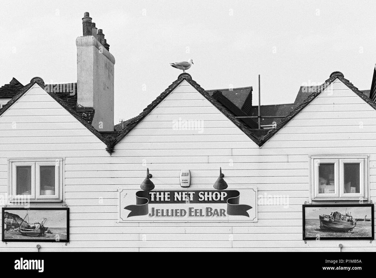 Net Shop gelificata eel bar sulla Stade a Hastings Old Town, East Sussex Regno Unito Foto Stock