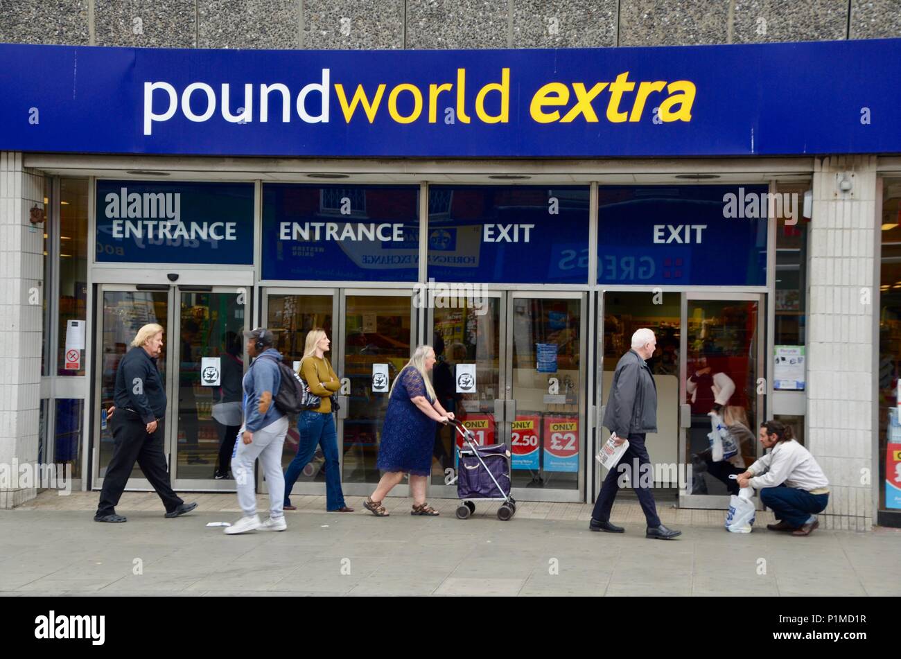 Il legno ramo verde di poundworld extra Londra nord N22 REGNO UNITO Foto Stock