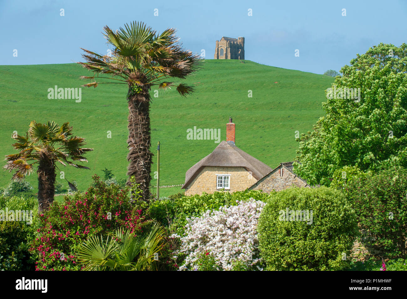 Abbotsbury nel Dorset, una contea in Inghilterra meridionale, che gode gode di uno scenario pittoresco. Foto Stock